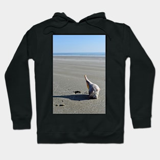 Conch Shell on Beach Hoodie